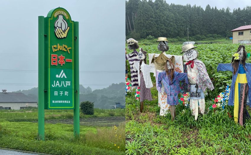 田子町